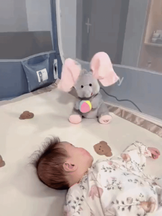 Peek a Boo rääkiv elevandipoeg